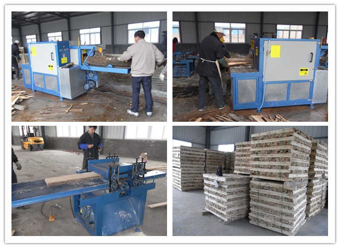 江蘇淮安市楚洲--原木、方木多片鋸、清邊機(jī)工作圖