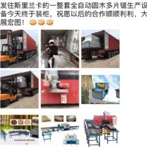 發往斯里蘭卡客戶的多片鋸專柜