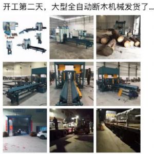 2017年發(fā)貨國內(nèi)250型原木斷木機(jī)生產(chǎn)線&nbsp;圓木截木機(jī)，鋸木機(jī)生