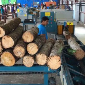 全自動(dòng)多片鋸生產(chǎn)線在斯里蘭卡客戶現(xiàn)場1