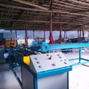 全自動原木多片鋸生產線在斯里蘭卡客戶現場