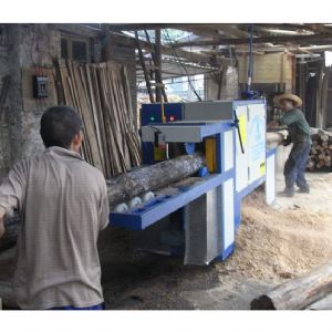 韶關(guān)樂(lè)昌城200圓木多片鋸加工現(xiàn)場(chǎng)